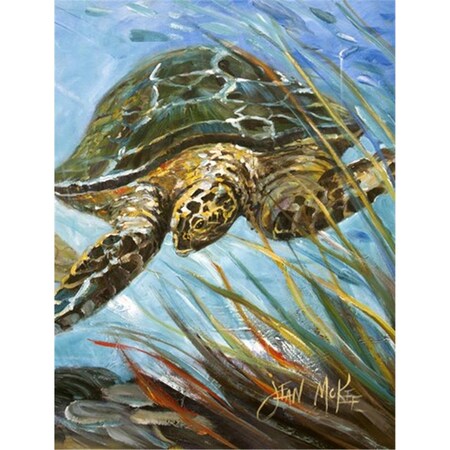 Carolines Treasures Loggerhead Sea Turtle Flag Garden Size JMK1168GF